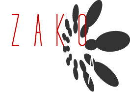 Zako Media - Swansea Web Design Logo